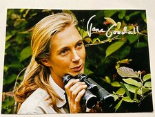 Jane Goodall, scimpanzé