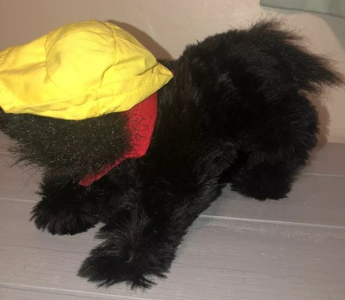 Curto jake cane salato - cane,