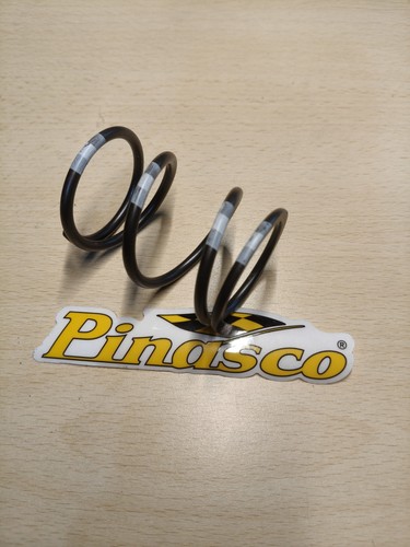 Pinasco molla contrasto - di,