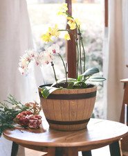 1 Vaso Piante Fioriera in