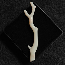 Ramo di corallo bianco rosa