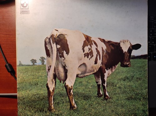 Pink floyd atom hearth mother - pink,
