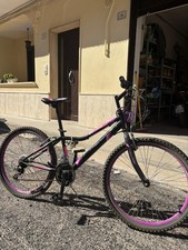 Bici regina - bici,