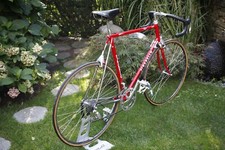 PINARELLO GAVIA - Gruppo