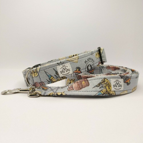 Kit collare guinzaglio per - kit,