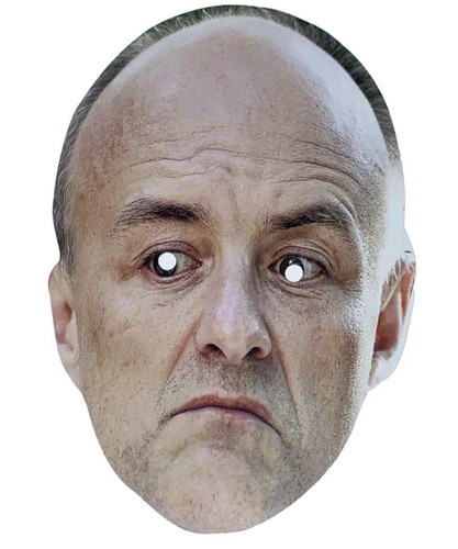 Maschera viso vestito fantasia