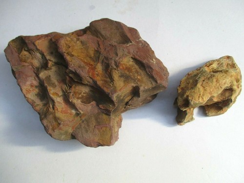 Coppia pesciera acquario rocce - coppia,