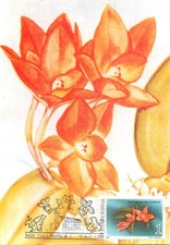 E0046 Maxi card Romania fiori