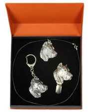 Dogo Canario - Set Tipo 2 - Il Cane IN Der Arance Scatola Art Dog