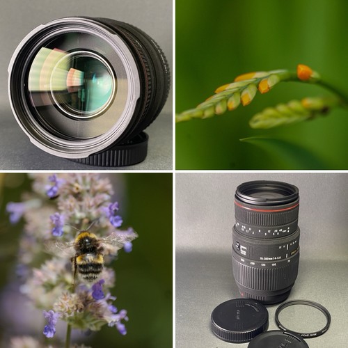 Sigma apo 300 f4 - dg, mm