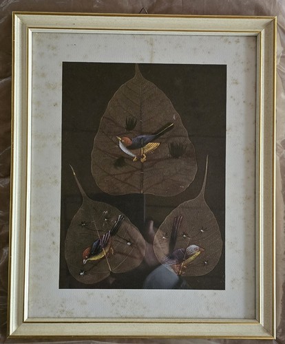 Uccellini dipinti scheletri - uccellini,