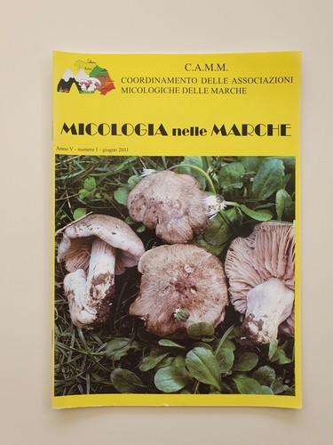 Micologia nelle marche - anno, v