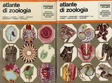 ATLANTE DI ZOLOGIA IN 2