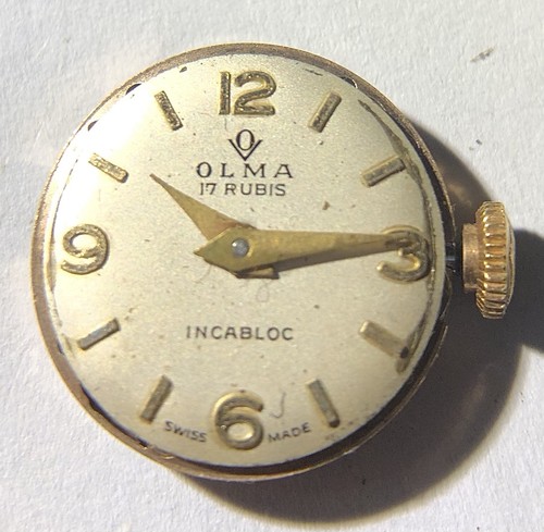 Olma donna calibro eta - donna,