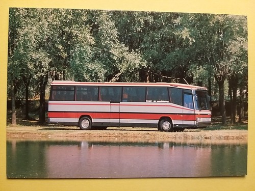 Gruppo socimi autobus - -,