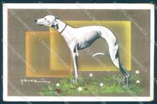 Animali Cane Frusta NMM serie 3000-3 Duka cartolina TW1049