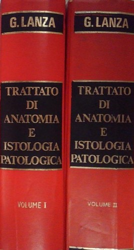 Lanza trattato anatomia e - di,