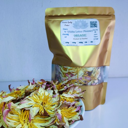 Fiore loto bianco nymphaea - fiore, bianco|