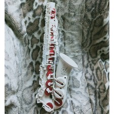 [Consegna Anonima] Sassofono