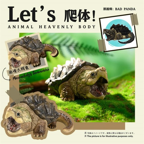 Animal heavenly body modellino - animal,