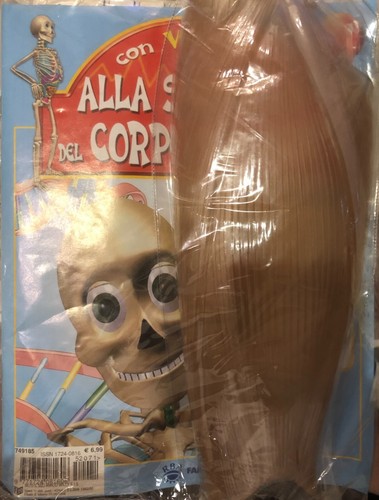 Alla scoperta del corpo - , umano