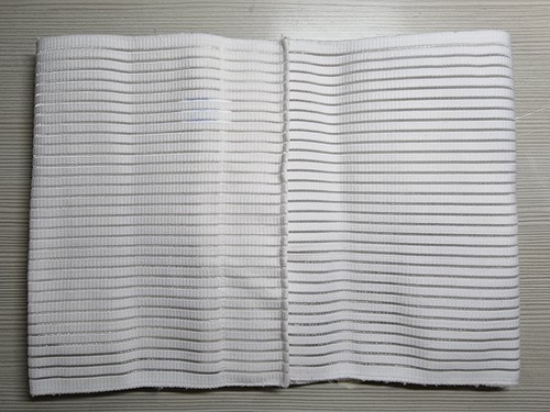 Fascia elastica lombare - fascia,