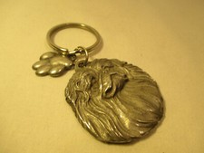 Pekingese pechinese cane - pekingese,