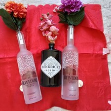 Bottiglie Belvedere Usate