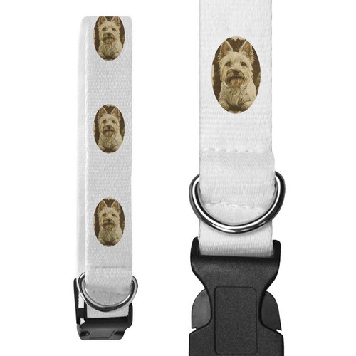 Collari per cani west - collari,
