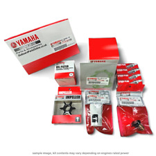 Kit manutenzione originale Yamaha 300 ore per F80D e F100F