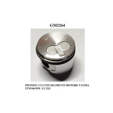 PISTONE STD COMPLETO DI