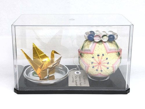 Vetrina accessori anello