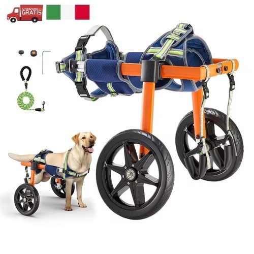 Sedia rotelle carrozzina x - sedia, a