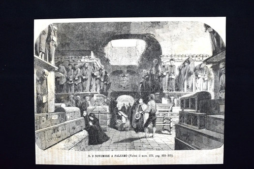 Novembre palermo foche - novembre, a
