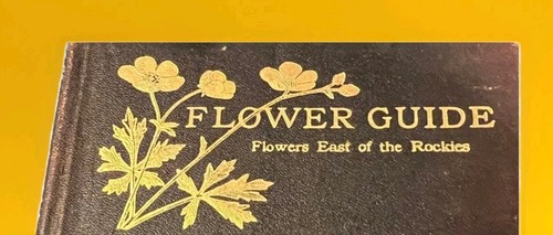 1920 flower guide - flower, flowers
