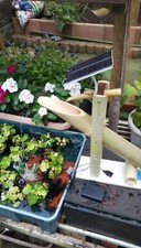 Fontana acqua solare e batteria zen bambù pompa USB decorazione giardino Shishi Odoshi