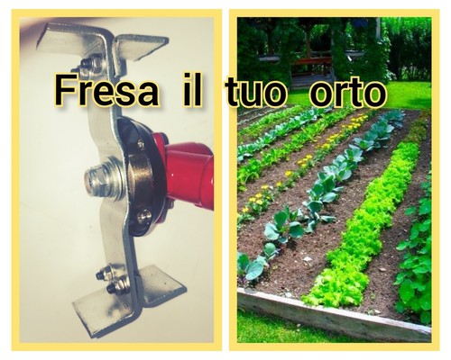 Novità testina zappetta - novitÀ,