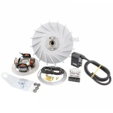 ACCENSIONE ELETTRONICA PINASCO