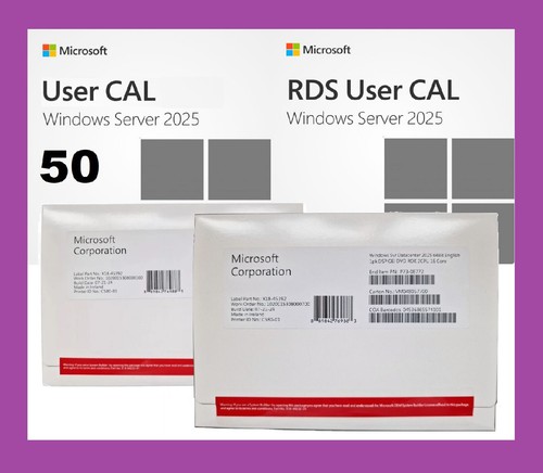 Windows server 2025 - 2025, standard