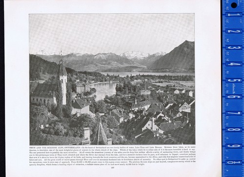 Lago thun alpi - thun, bernesi