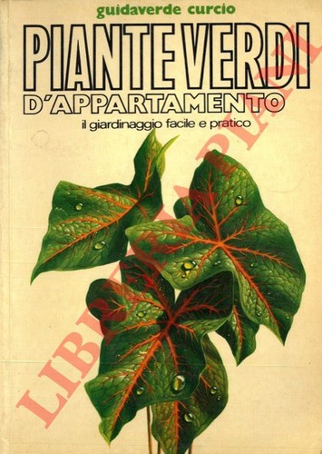 Pizzetti piante verdi - ,