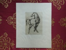 Francesco Messina Cavallo in movimento litografia n 87 di 300