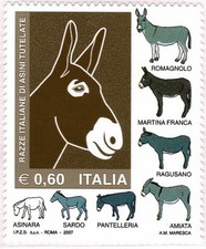 2007 REPUBBLICA ITALIANA n. 3037 RAZZE ITALIANE ASINI 1 V MNH MF131558