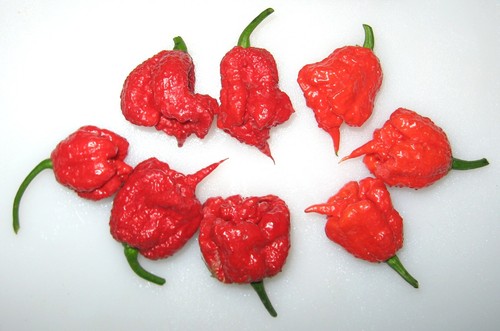 Semi carolina reaper - di,