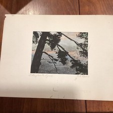 GIUSEPPE MARIO D'AMICO -