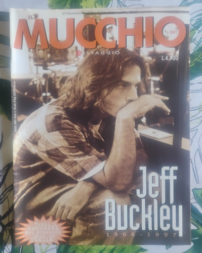 Mucchio selvaggio 264 - 264, /