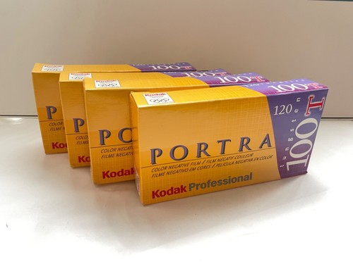 Kodak portra 100t - kodak,