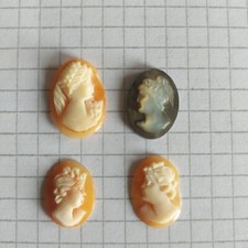 Cammeo Camei Cameos Conchiglia