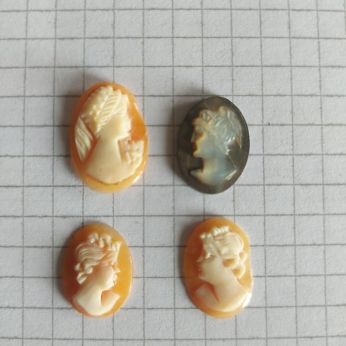Cammeo camei cameos conchiglia - cameos,