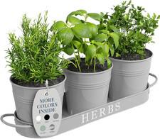 Set Di Fioriere Da Giardino